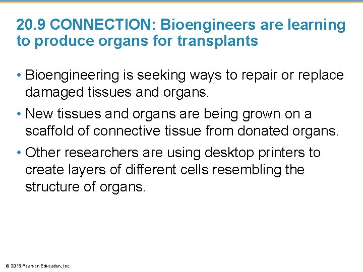 20. 9 CONNECTION: Bioengineers are learning to produce organs for transplants • Bioengineering is