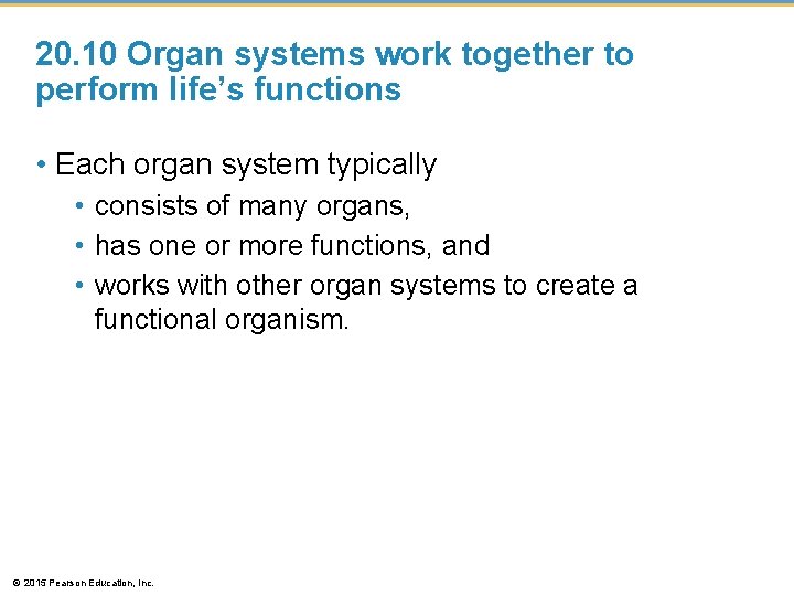 20. 10 Organ systems work together to perform life’s functions • Each organ system