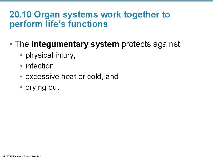 20. 10 Organ systems work together to perform life’s functions • The integumentary system