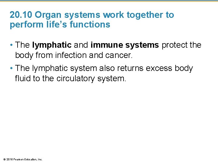 20. 10 Organ systems work together to perform life’s functions • The lymphatic and