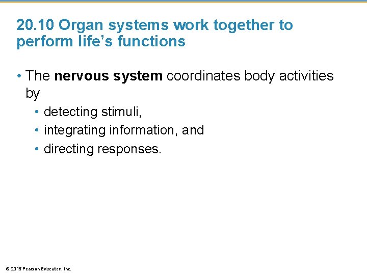 20. 10 Organ systems work together to perform life’s functions • The nervous system