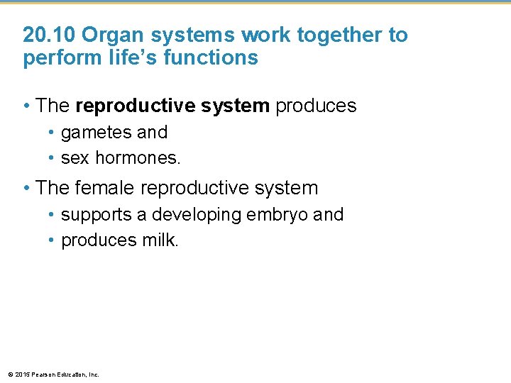 20. 10 Organ systems work together to perform life’s functions • The reproductive system