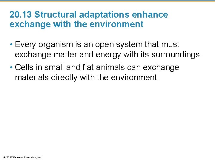 20. 13 Structural adaptations enhance exchange with the environment • Every organism is an