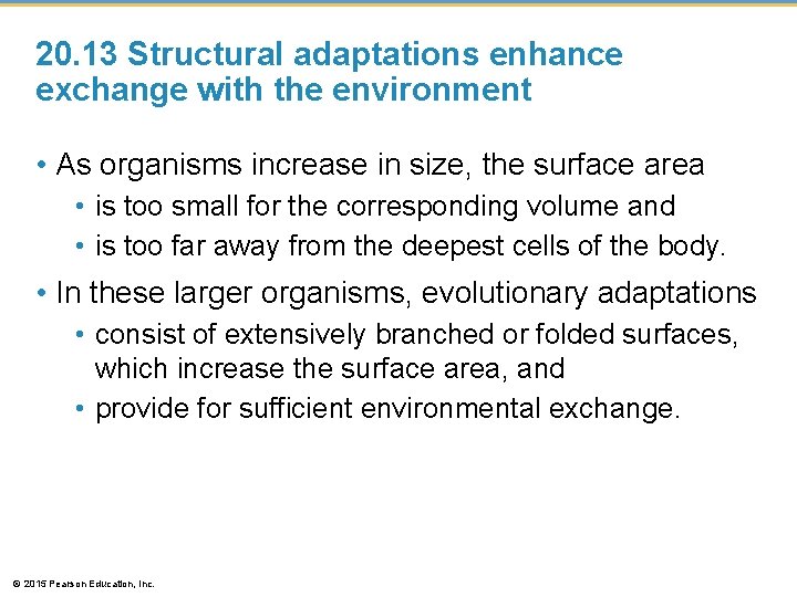 20. 13 Structural adaptations enhance exchange with the environment • As organisms increase in