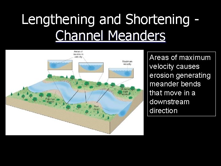 Lengthening and Shortening Channel Meanders Areas of maximum velocity causes erosion generating meander bends