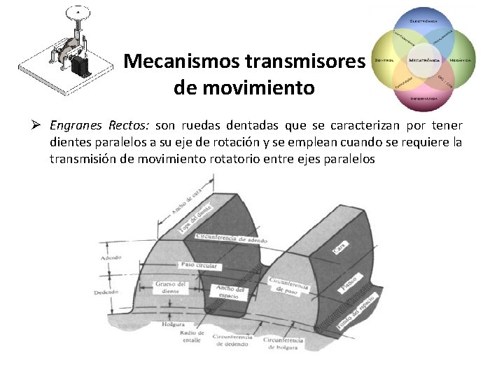 Mecanismos transmisores de movimiento Ø Engranes Rectos: son ruedas dentadas que se caracterizan por