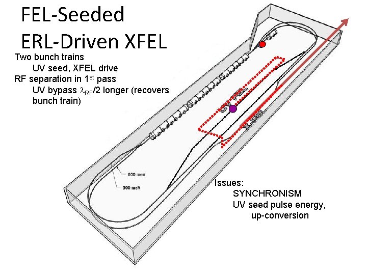 FEL-Seeded ERL-Driven XFEL Two bunch trains UV seed, XFEL drive RF separation in 1