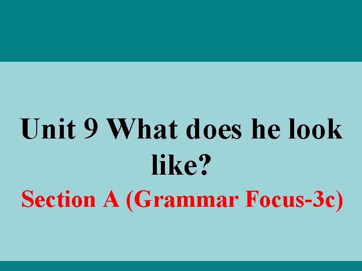 Unit 9 What does he look like? Section A (Grammar Focus-3 c) 