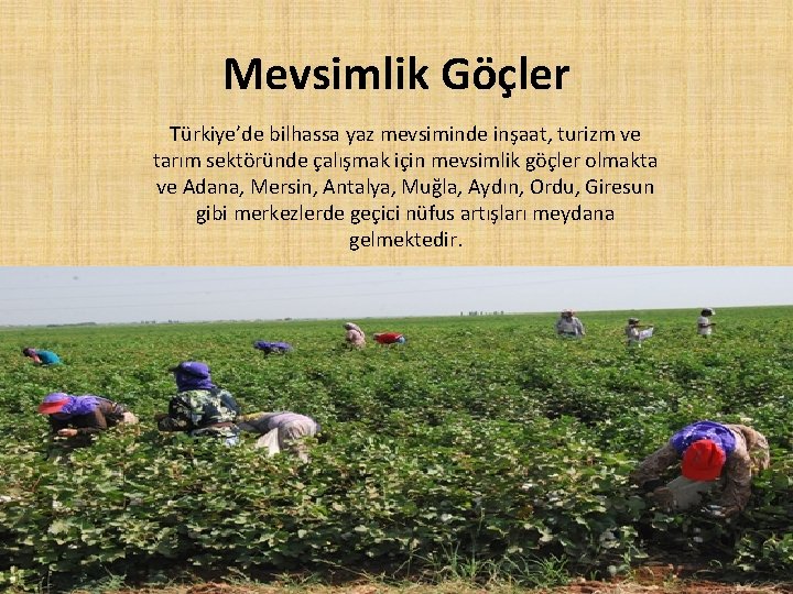 Mevsimlik Göçler Türkiye’de bilhassa yaz mevsiminde inşaat, turizm ve tarım sektöründe çalışmak için mevsimlik