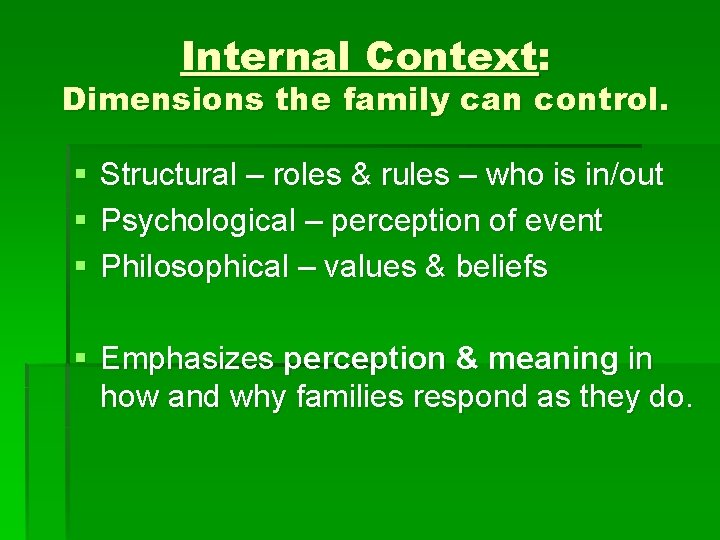 Internal Context: Dimensions the family can control. § § § Structural – roles &