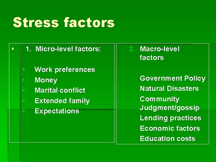 Stress factors § 1. Micro-level factors: § § § Work preferences Money Marital conflict