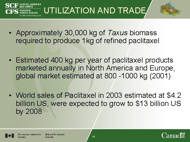 UTILIZATION AND TRADE • Approximately 30, 000 kg of Taxus biomass required to produce