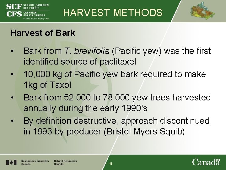 HARVEST METHODS Harvest of Bark • • Bark from T. brevifolia (Pacific yew) was