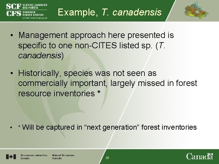 Example, T. canadensis • Management approach here presented is specific to one non-CITES listed