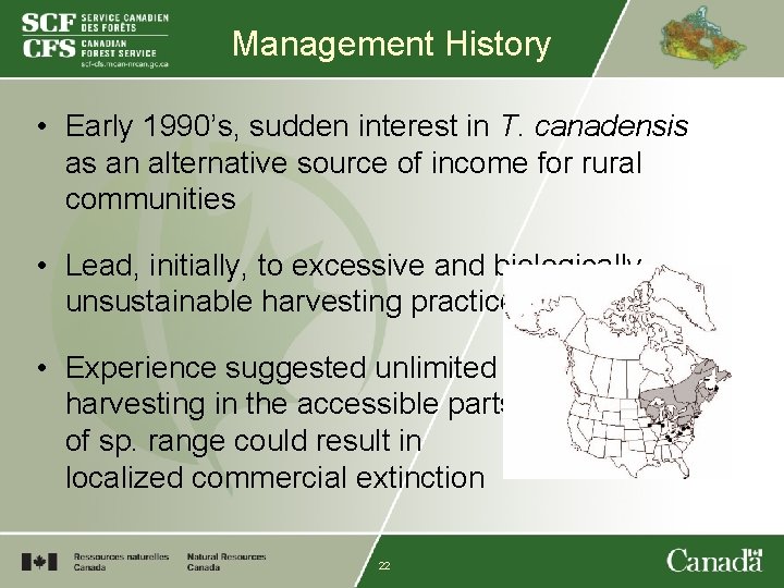 Management History • Early 1990’s, sudden interest in T. canadensis as an alternative source