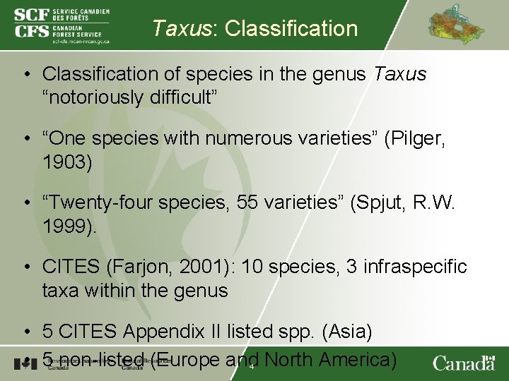 Taxus: Classification • Classification of species in the genus Taxus “notoriously difficult” • “One