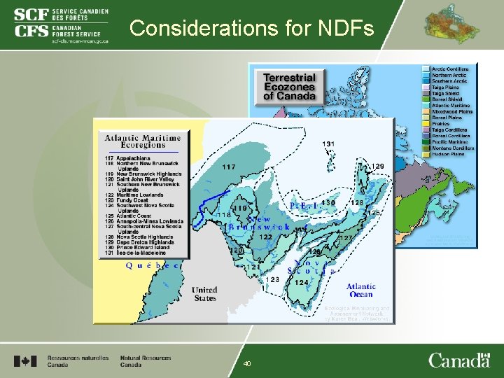 Considerations for NDFs 40 