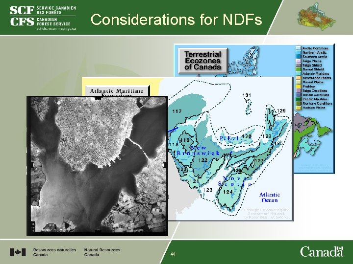 Considerations for NDFs 41 