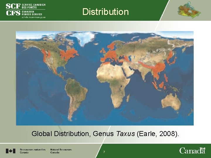 Distribution Global Distribution, Genus Taxus (Earle, 2008). 7 