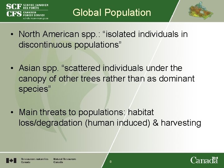Global Population • North American spp. : “isolated individuals in discontinuous populations” • Asian