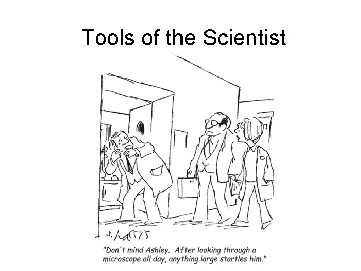 Tools of the Scientist 