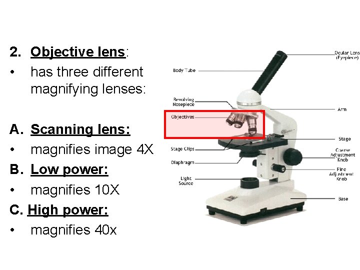 2. Objective lens: • has three different magnifying lenses: A. Scanning lens: • magnifies