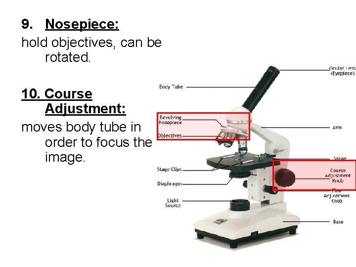 9. Nosepiece: hold objectives, can be rotated. 10. Course Adjustment: moves body tube in