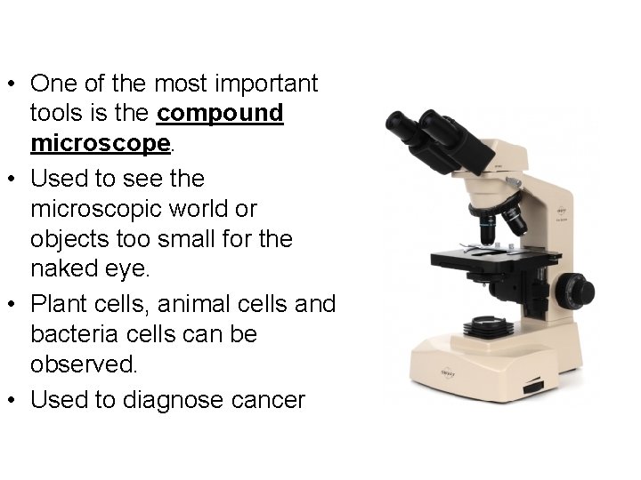  • One of the most important tools is the compound microscope. • Used