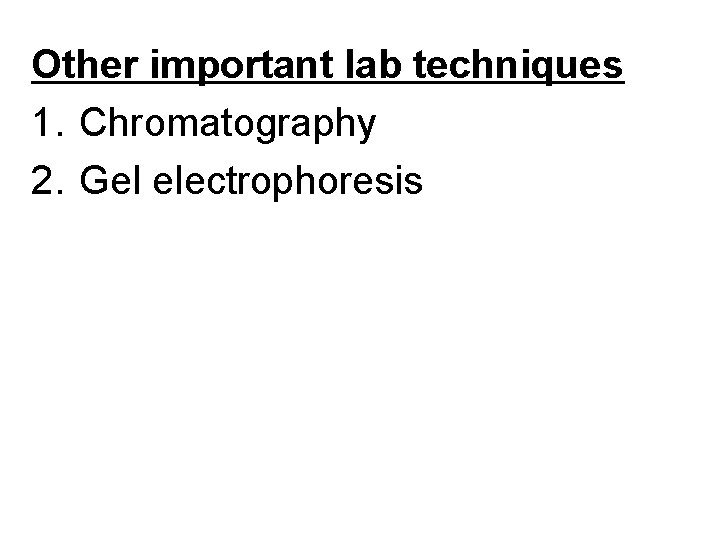 Other important lab techniques 1. Chromatography 2. Gel electrophoresis 