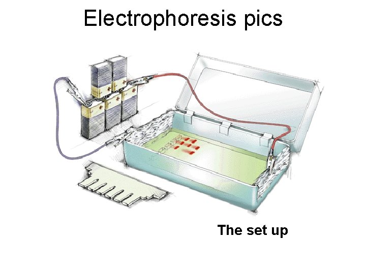 Electrophoresis pics The set up 