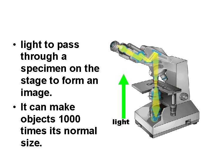  • light to pass through a specimen on the stage to form an