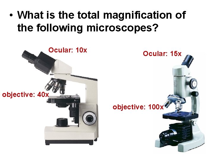  • What is the total magnification of the following microscopes? Ocular: 10 x