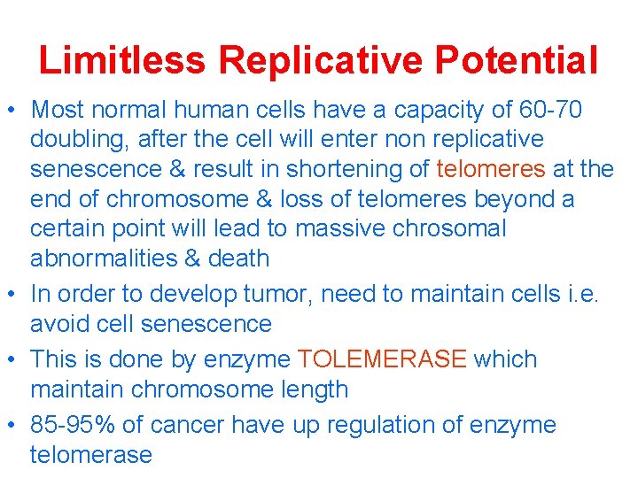 Limitless Replicative Potential • Most normal human cells have a capacity of 60 -70