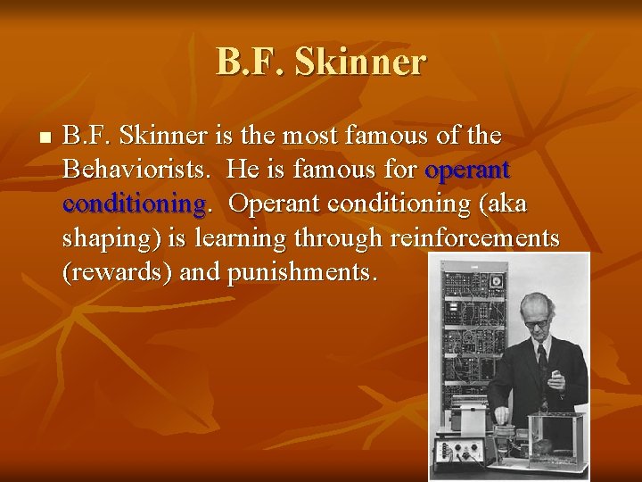 B. F. Skinner n B. F. Skinner is the most famous of the Behaviorists.