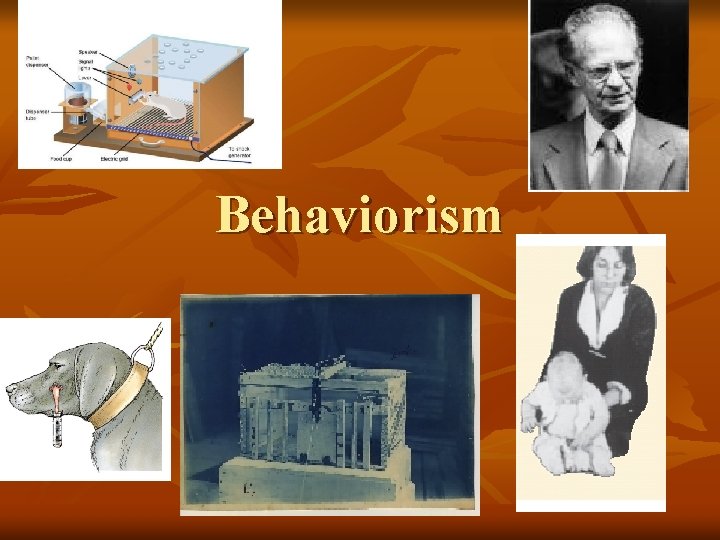 Behaviorism 