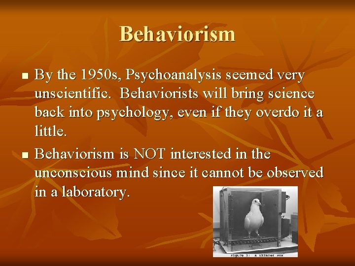 Behaviorism n n By the 1950 s, Psychoanalysis seemed very unscientific. Behaviorists will bring