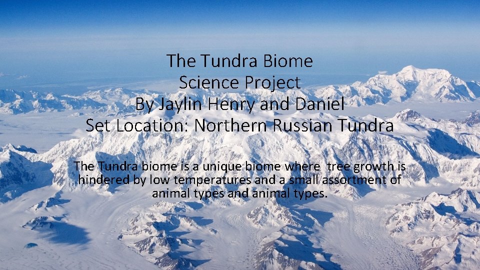 The Tundra Biome Science Project By Jaylin Henry and Daniel Set Location: Northern Russian