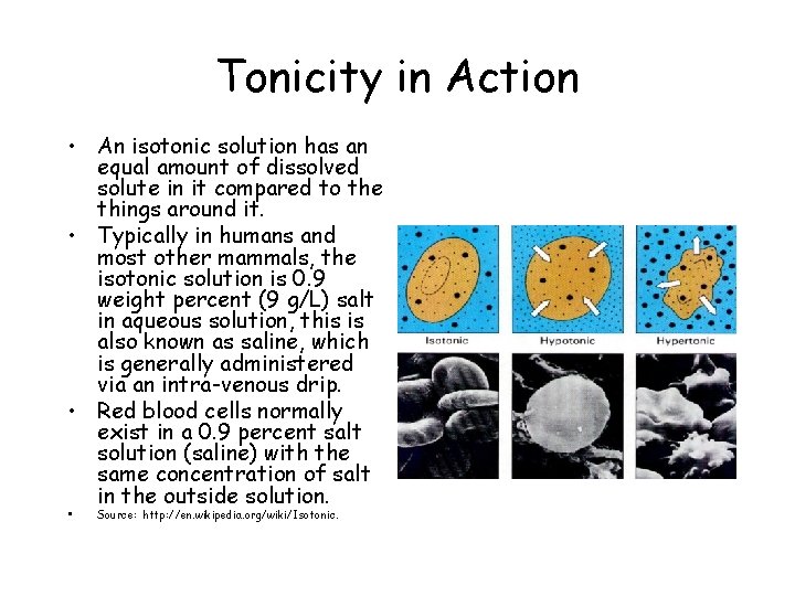 Tonicity in Action • An isotonic solution has an equal amount of dissolved solute