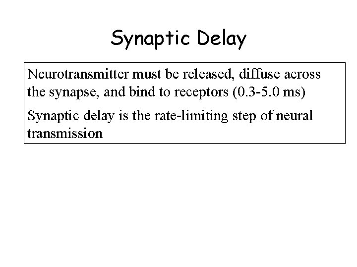 Synaptic Delay Neurotransmitter must be released, diffuse across the synapse, and bind to receptors