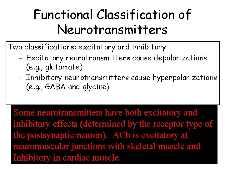 Functional Classification of Neurotransmitters Two classifications: excitatory and inhibitory – Excitatory neurotransmitters cause depolarizations