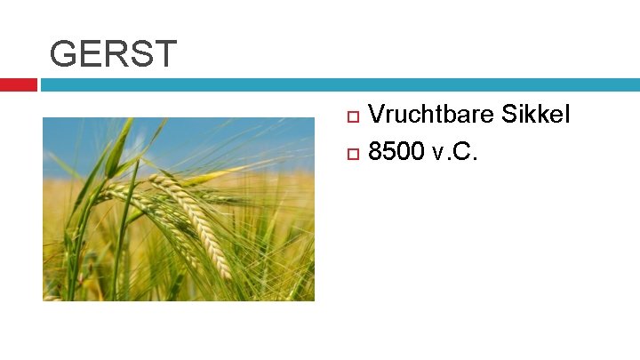 GERST Vruchtbare Sikkel 8500 v. C. 
