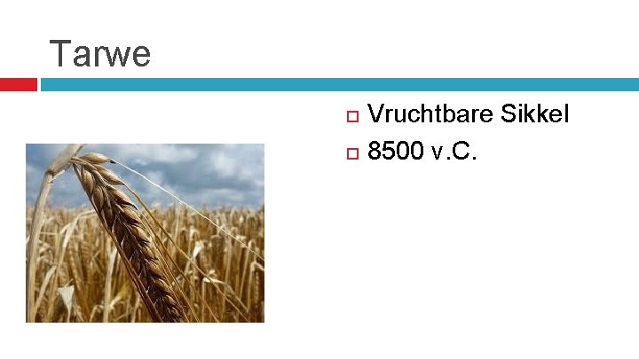 Tarwe Vruchtbare Sikkel 8500 v. C. 