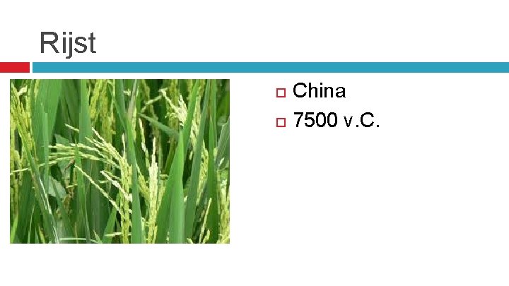 Rijst China 7500 v. C. 