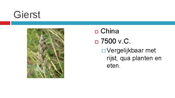 Gierst China 7500 v. C. � Vergelijkbaar met rijst, qua planten en eten. 