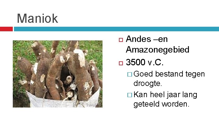 Maniok Andes –en Amazonegebied 3500 v. C. � Goed bestand tegen droogte. � Kan
