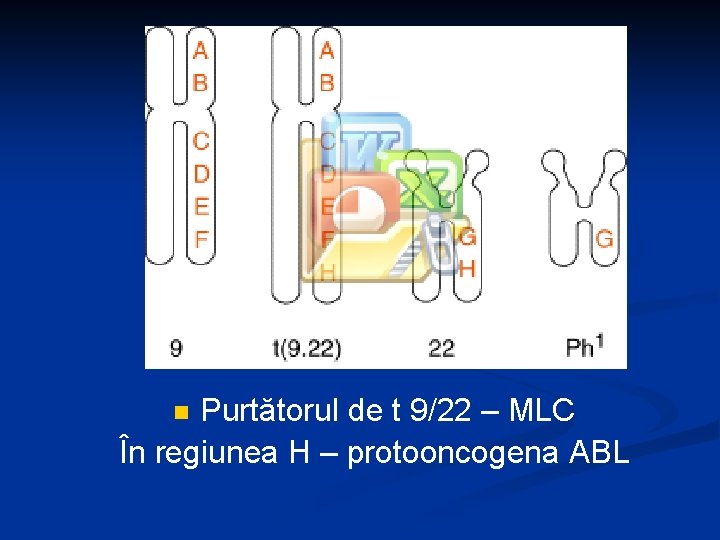 Purtătorul de t 9/22 – MLC În regiunea H – protooncogena ABL n 