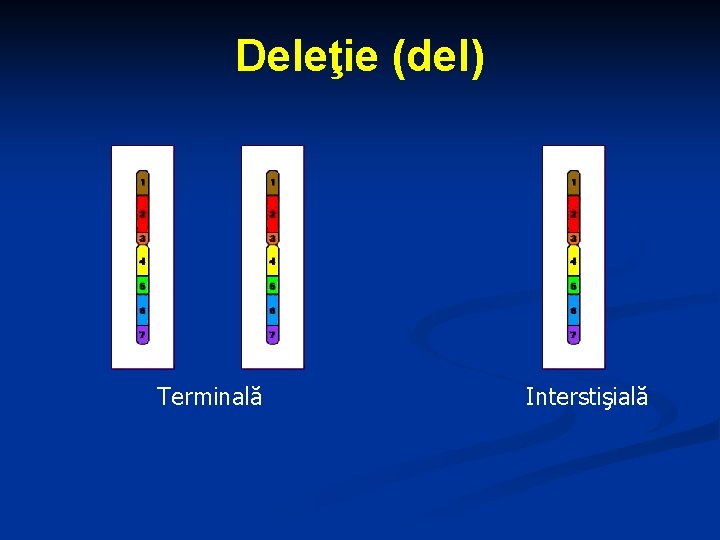 Deleţie (del) Terminală Interstişială 