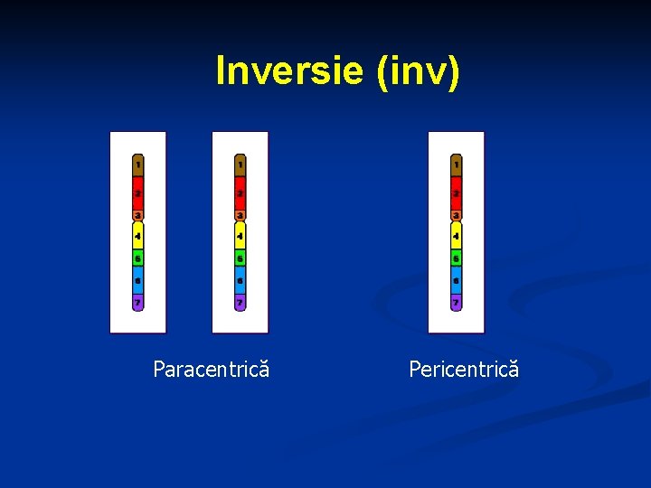 Inversie (inv) Paracentrică Pericentrică 