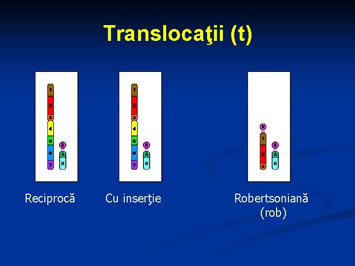 Translocaţii (t) Reciprocă Cu inserţie Robertsoniană (rob) 