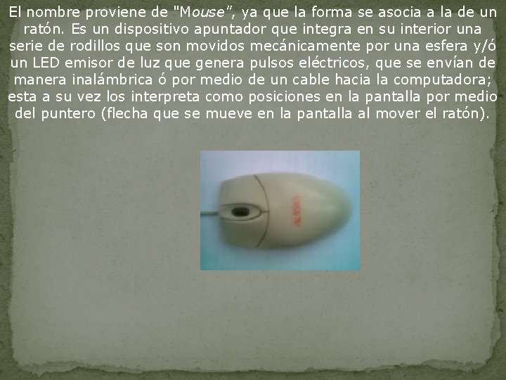 El nombre proviene de "Mouse", ya que la forma se asocia a la de